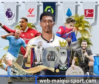 www.web-maiqiu-sport.com APP